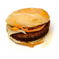 Veggie Burger Veggie Burger